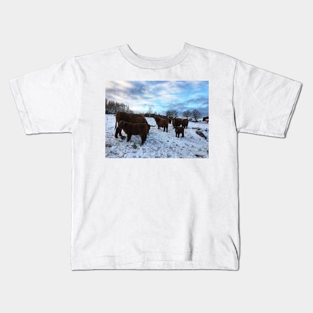 Scottish Highland Cattle Cows and Calves 1605 Kids T-Shirt by SaarelaHighland